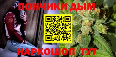 индика Ливны