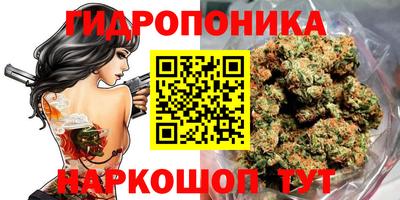 гидропоника Ликино-Дулёво