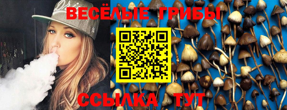 Гай  Псилоцибиновые грибы MAGIC MUSHROOMS  Вход с VPN 