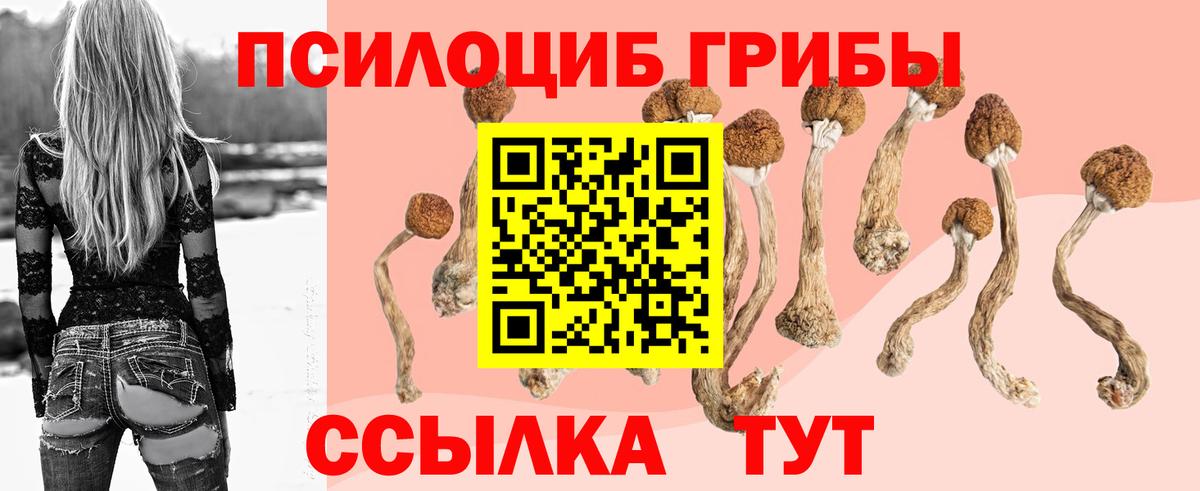 Галлюциногенные грибы MAGIC MUSHROOMS Гай
